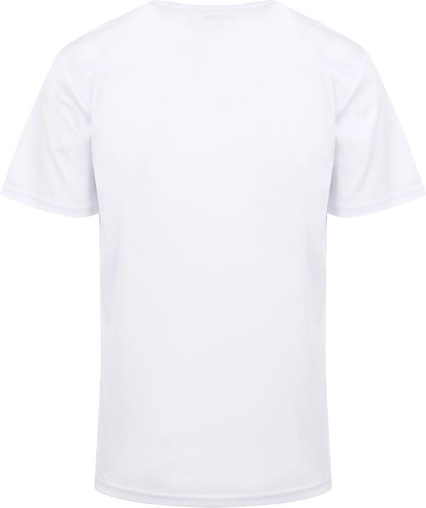 Actual product image Regatta Mens Fingal VIII Graphic Print T-Shirt (XXL)