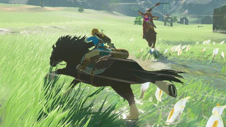 Produktbild Nintendo amiibo Zelda - Bokoblin Zelda (BotW) (Wii U, Switch, 3DS, 3DS XL, 2DS, 2DS XL)