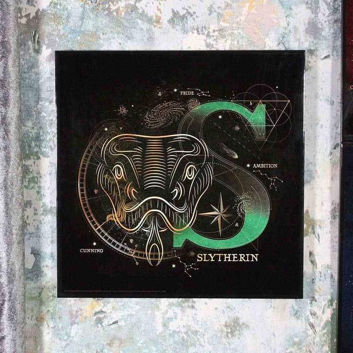 Produktbild Nemesis Now Harry Potter - Haus Slytherin Crystal Clear Picture (32 x 32 cm)