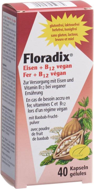 Actual product image Floradix Iron and B 12 Vegan (1 Piece, Capsules, 37 g)