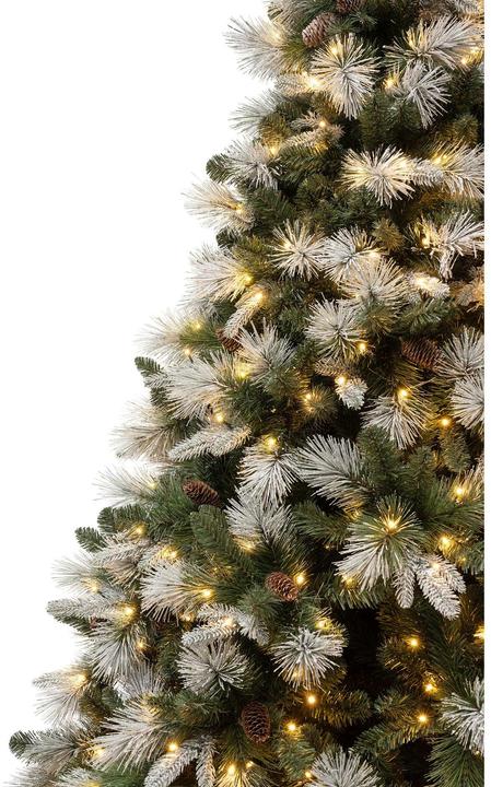Produktbild STT LED Christbaum (250 cm)