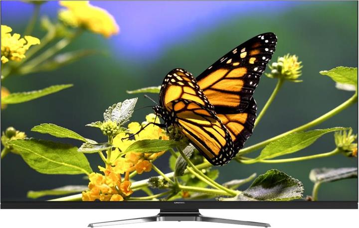 Grundig 55GUB9981 (55", LCD, 4K)