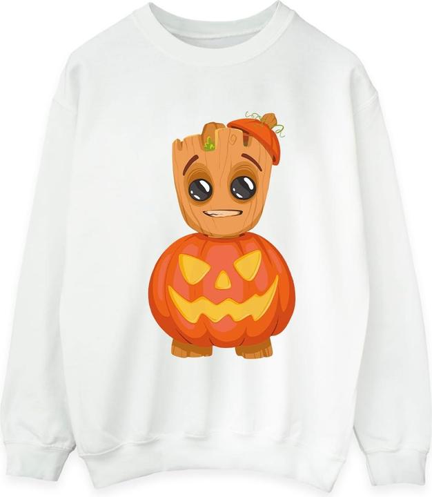Actual product image Mens Groot Pumpkin Sweatshirt (3XL)