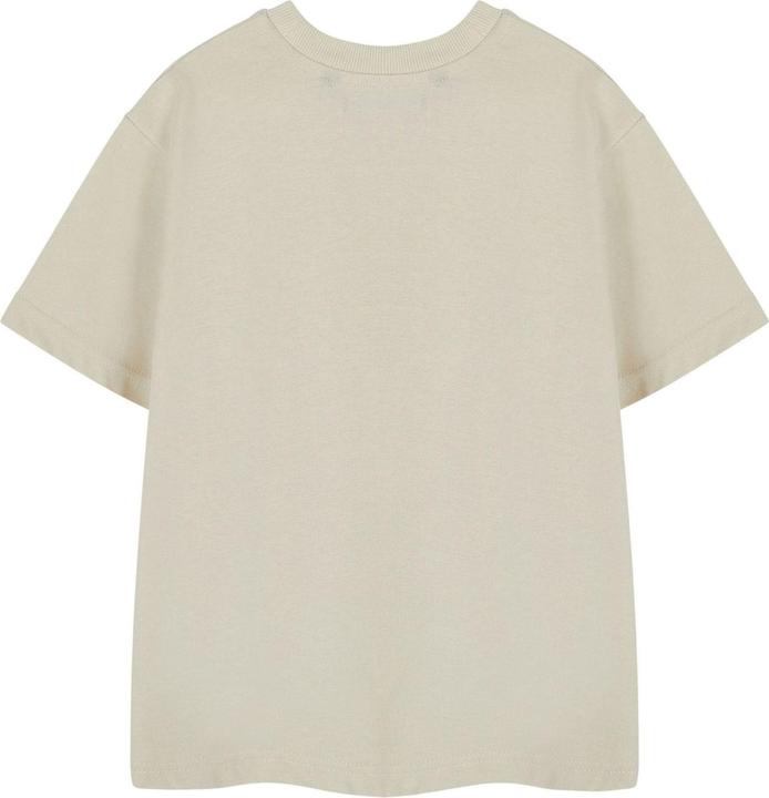 Actual product image Sonic The Hedgehog Boys Group Faces Short-Sleeved T-Shirt (104)