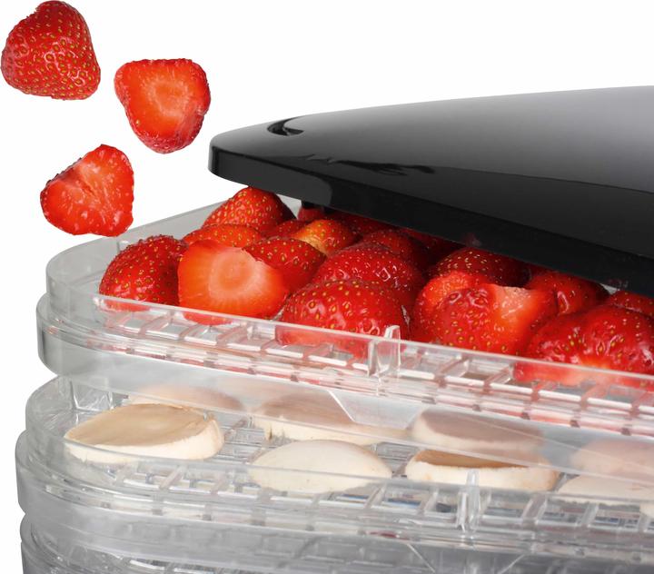 Actual product image Princess Dehydrator