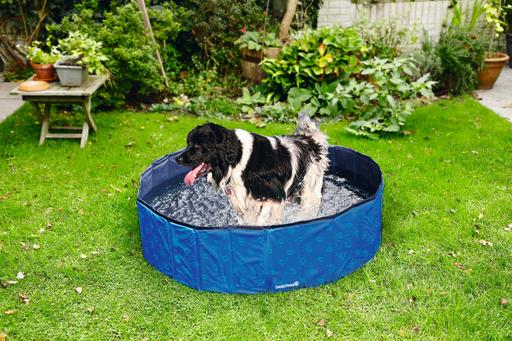 Image du produit Beeztees Piscine pour chiens (Piscine pour chiens)
