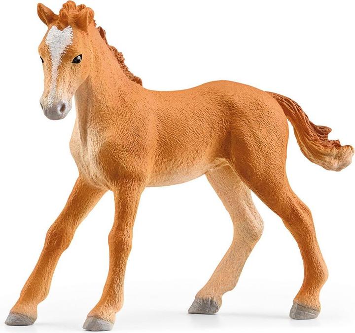 Actual product image Schleich Horse Club Riding School