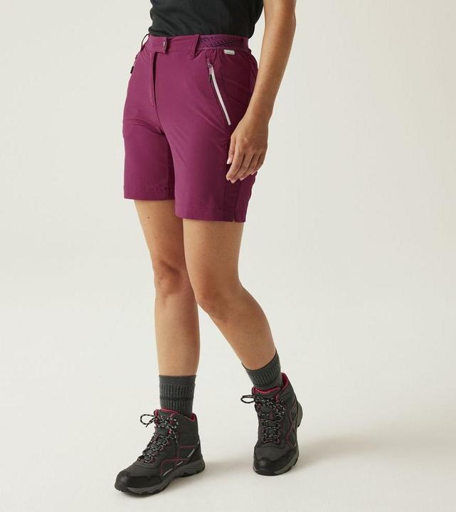 Produktbild Regatta Mountain Shorts II (XS)