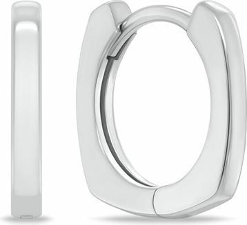 Actual product image Brilio Silver Circle Silver Earrings For Women Ea1169w