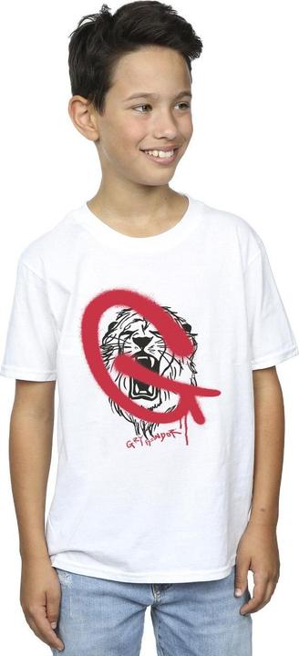 Actual product image Boys Gryffindor Pop Spray T-Shirt (152, 158)