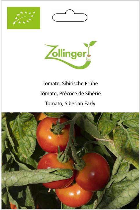 Produktbild Zollinger Bio Tomate, Sibirische Frühe (Keimlinge)