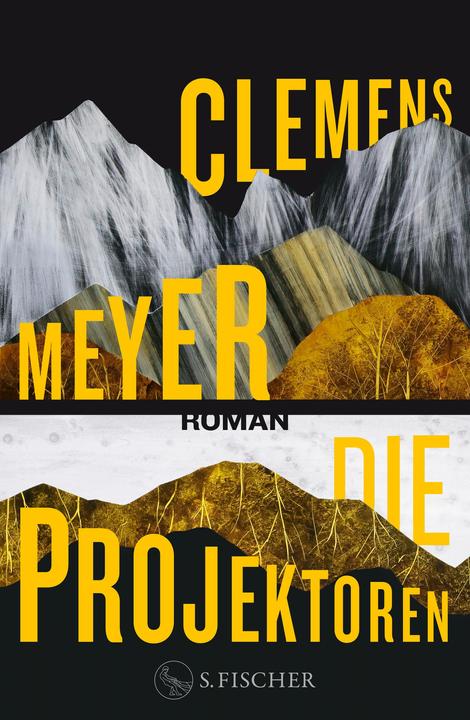 Actual product image Die Projektoren (German, Clemens Meyer, 2024)
