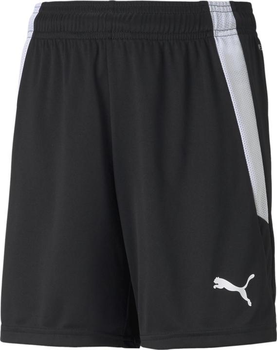 Image du produit Puma short teamLIGA Jr-704931 (128)