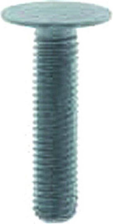 Camar M10 screw