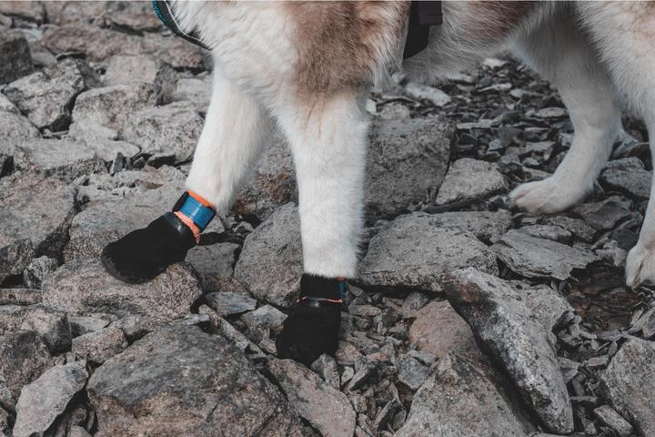 Produktbild Non-Stop Dogwear Protector Booties (XL, Hundeschuhe)