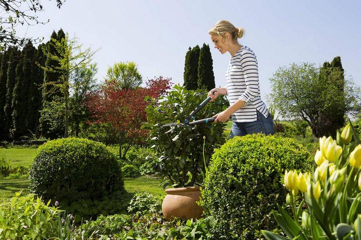 Image du produit Gardena EasyCut (Taille-haie)