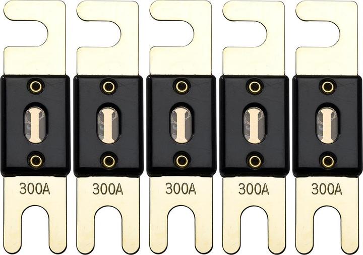 Offgridtec Set di 5 fusibili ANL DIN43560/1