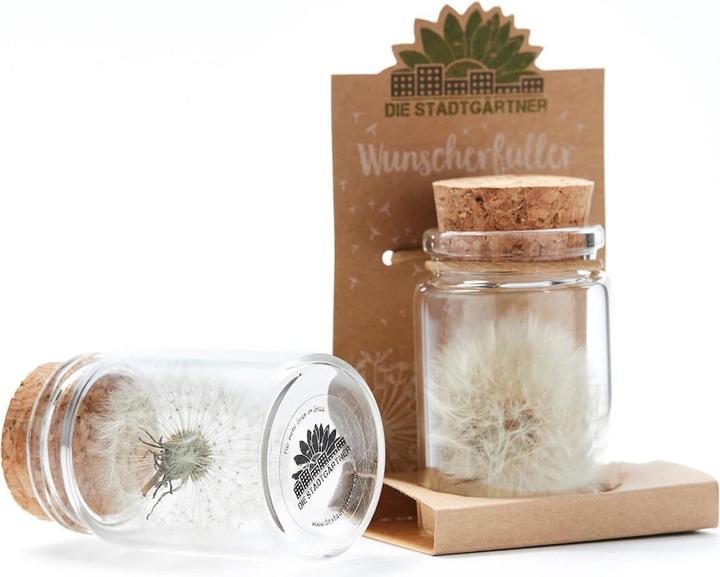 Produktbild Natura Punto Pusteblume (Ø 4 x 8 cm)