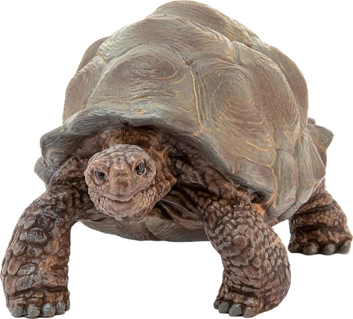Actual product image Schleich Giant turtle