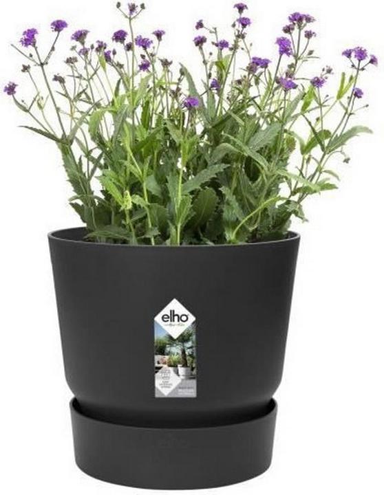 Immagine prodotto Elho vasi di fiori (39 cm)