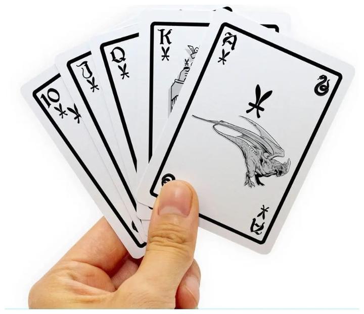 Actual product image Aquarius Abbey Harry Potter Playing Cards Slytherin NMR52438 (German)