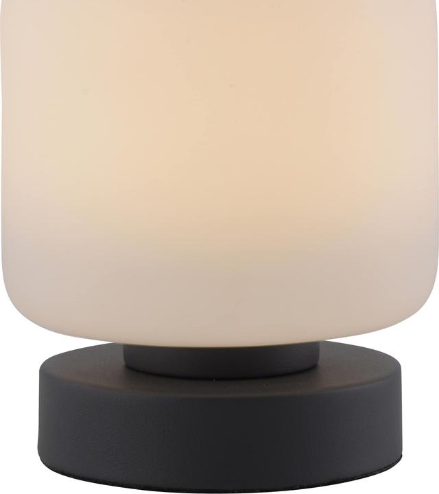 Actual product image Paul Neuhaus Bota (580 lm)
