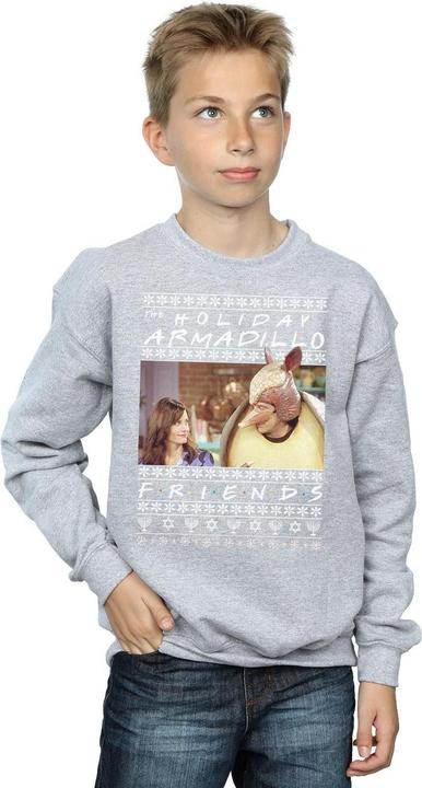 Image du produit Friends - Sweat FAIR ISLE HOLIDAY ARMADILLO - Garçon (140, 146)