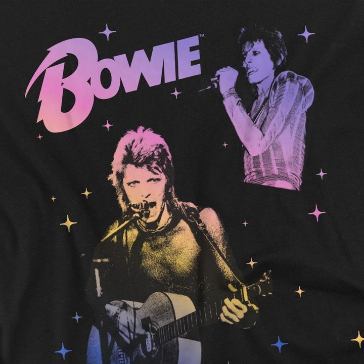 Actual product image David Bowie Mens Rainbow Gradient T-Shirt (L)