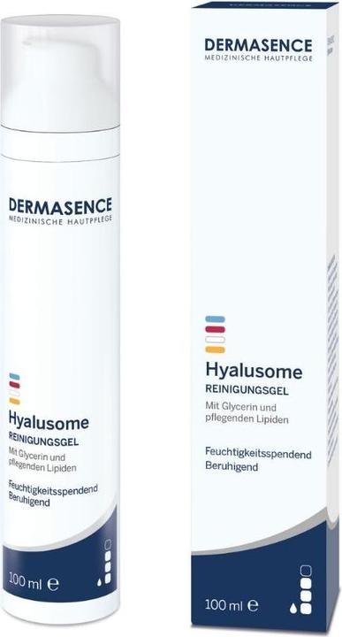 Dermasence Hyalusome Reinigungsgel Gel (Gel, 100 ml)