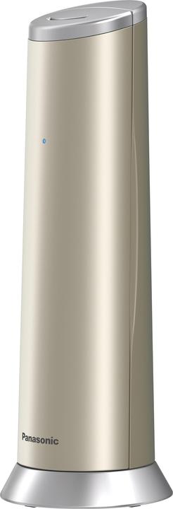 Immagine prodotto Panasonic KX-TGK220GN