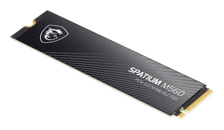 Immagine prodotto MSI 1TO M.2 NVME GEN5 - SPATIUM M560 (1000 GB, M.2 2280)