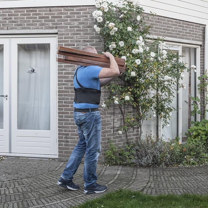 Produktbild ProPlus Rückengürtel XL (XL)
