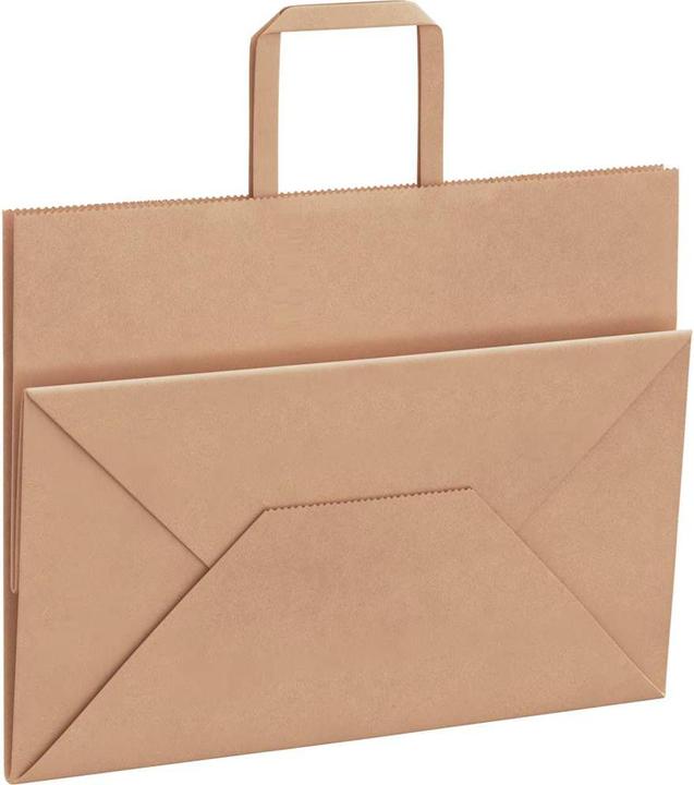 Image du produit VidaXL Sacs en papier kraft 50 pcs. avec anse marron 32x17x25 cm Sac en papier (Pochette cadeau, 50 x)