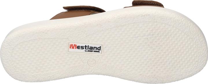 Produktbild Westland 25403-409 (40)