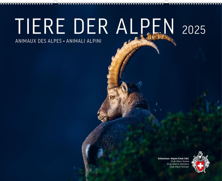 Produktbild Tiere der Alpen 2025 (Deutsch)
