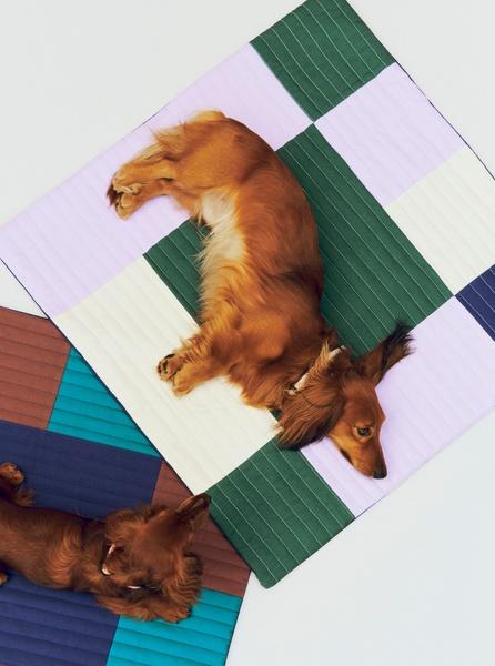 Produktbild HAY - Quilted Dogs Travel Blanket 80 x 80 (Lavender, Green & Blue) (Hund)