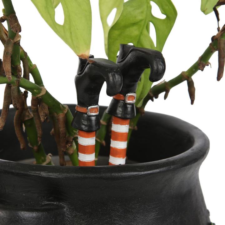 Actual product image Something Different Witch Leg Garden Ornament Set
