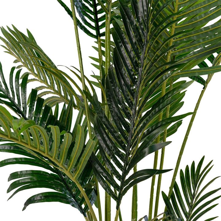 Actual product image House Nordic Areca (175 cm)