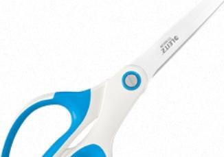 Actual product image Leitz WOW Titanium (20.50 cm)