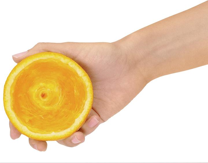 Actual product image Sage The Citrus Press