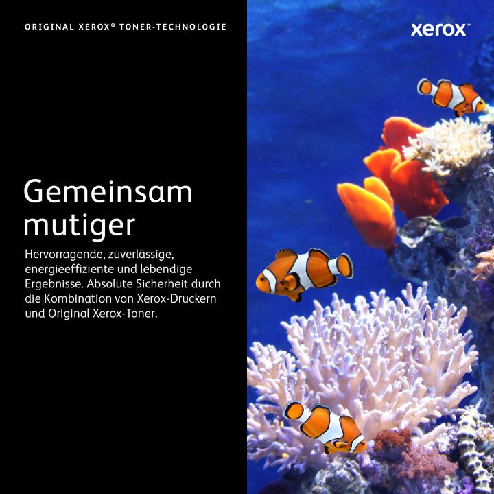 Produktbild Xerox 113r00720 (M)