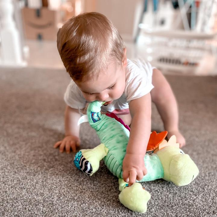 Actual product image Playgro Sensory Friend Dusty Dragon - (10188473)