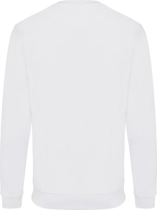 Image du produit Universal Textiles - Sweat ZION - Adulte (L)