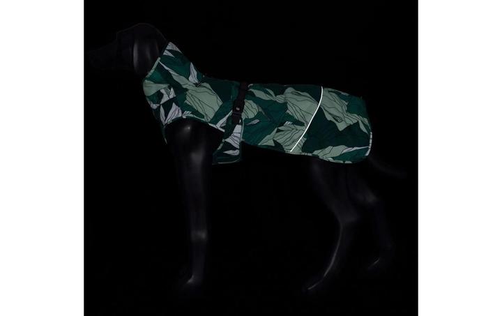Image du produit Icepeak Manteau d'hiver Northlander Vert, M (M)