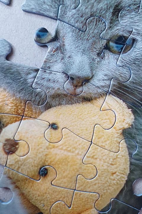 Immagine prodotto Selecta Spielzeug Puzzle con gattino e cane addormentato, 100 pezzi. (100 pezzi)