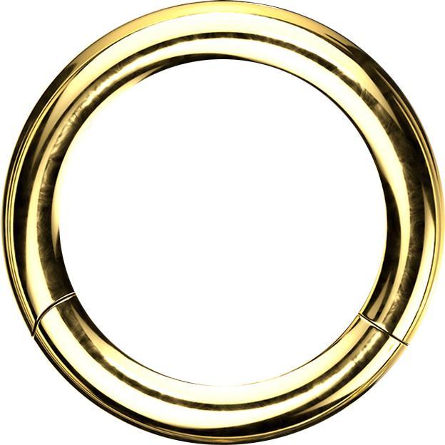 Star Piercing Segmentring vergoldet mit Titanium Schicht (Chirurgenstahl 316L, ohne Messing)