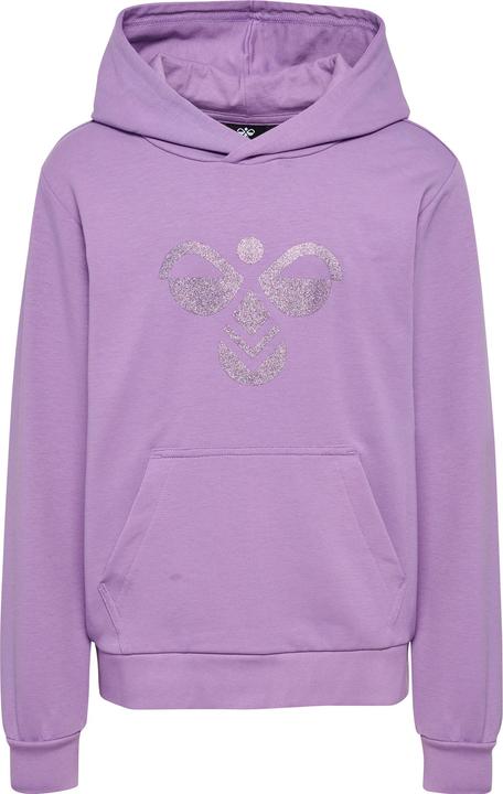 Image du produit hummel hmlCUATRO HOODIE (176)