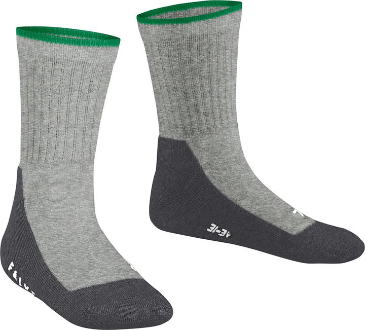 Actual product image Falke Active Everyday (Single pack, 35 - 38)