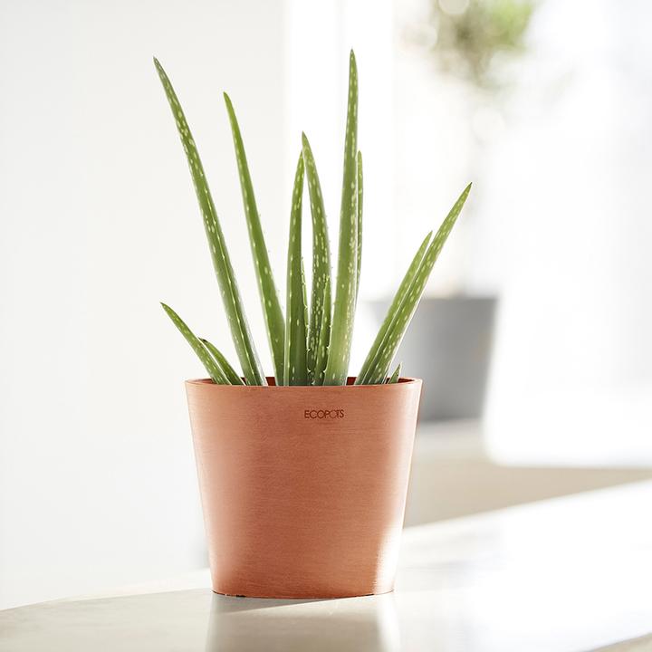 Immagine prodotto Ecopots Amsterdam Mini (17 cm)