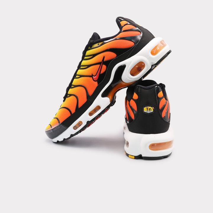 Produktbild Nike Air Max Plus (43)